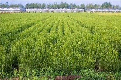 NG28-不凡成就非凡,相信品牌的力量