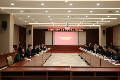NG28-不凡成就非凡,相信品牌的力量
