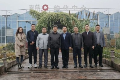 NG28-不凡成就非凡,相信品牌的力量