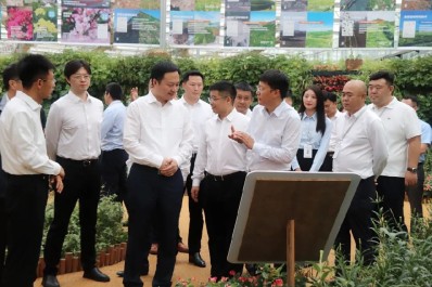 NG28-不凡成就非凡,相信品牌的力量