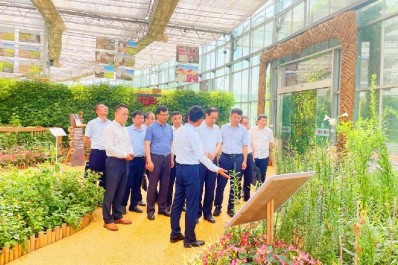 NG28-不凡成就非凡,相信品牌的力量