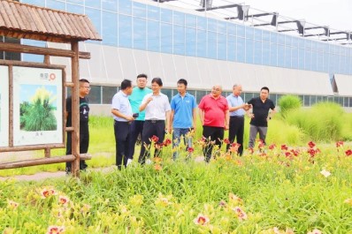 NG28-不凡成就非凡,相信品牌的力量
