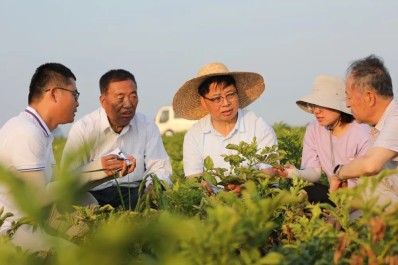 NG28-不凡成就非凡,相信品牌的力量