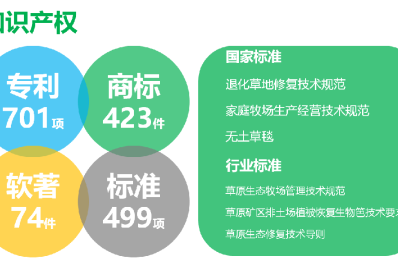 NG28-不凡成就非凡,相信品牌的力量