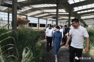 NG28-不凡成就非凡,相信品牌的力量