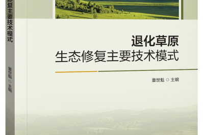 NG28-不凡成就非凡,相信品牌的力量