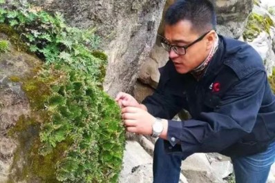 NG28-不凡成就非凡,相信品牌的力量