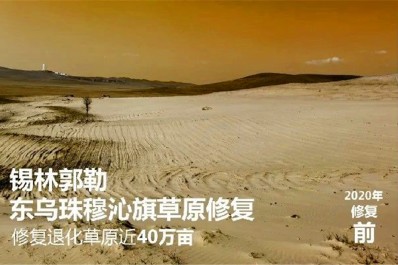 NG28-不凡成就非凡,相信品牌的力量