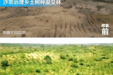 NG28-不凡成就非凡,相信品牌的力量