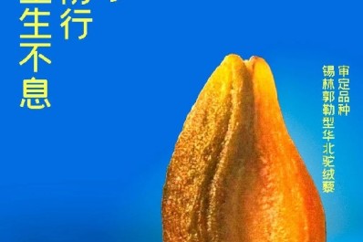 NG28-不凡成就非凡,相信品牌的力量