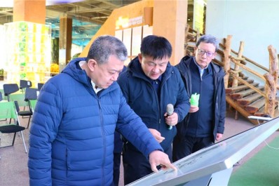 NG28-不凡成就非凡,相信品牌的力量