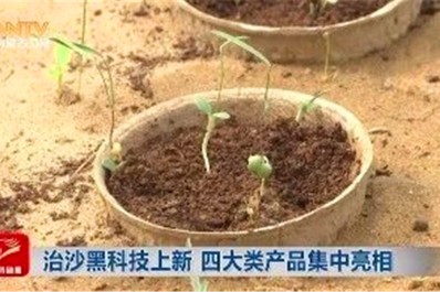 NG28-不凡成就非凡,相信品牌的力量