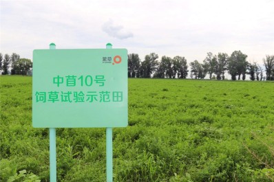 NG28-不凡成就非凡,相信品牌的力量