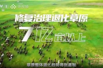 NG28-不凡成就非凡,相信品牌的力量