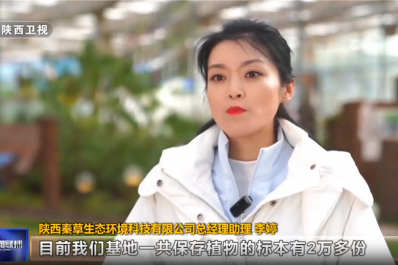 NG28-不凡成就非凡,相信品牌的力量