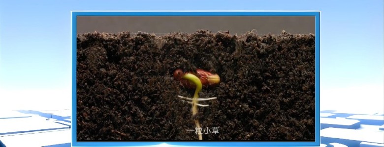 NG28-不凡成就非凡,相信品牌的力量