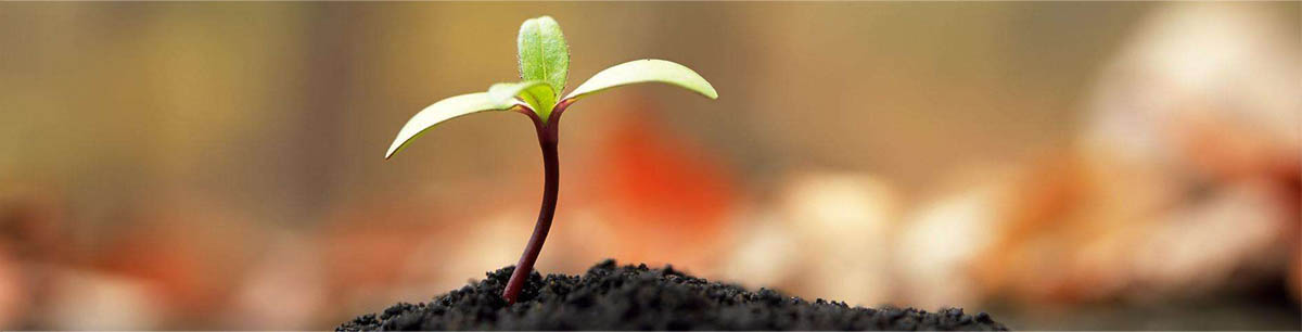 NG28-不凡成就非凡,相信品牌的力量