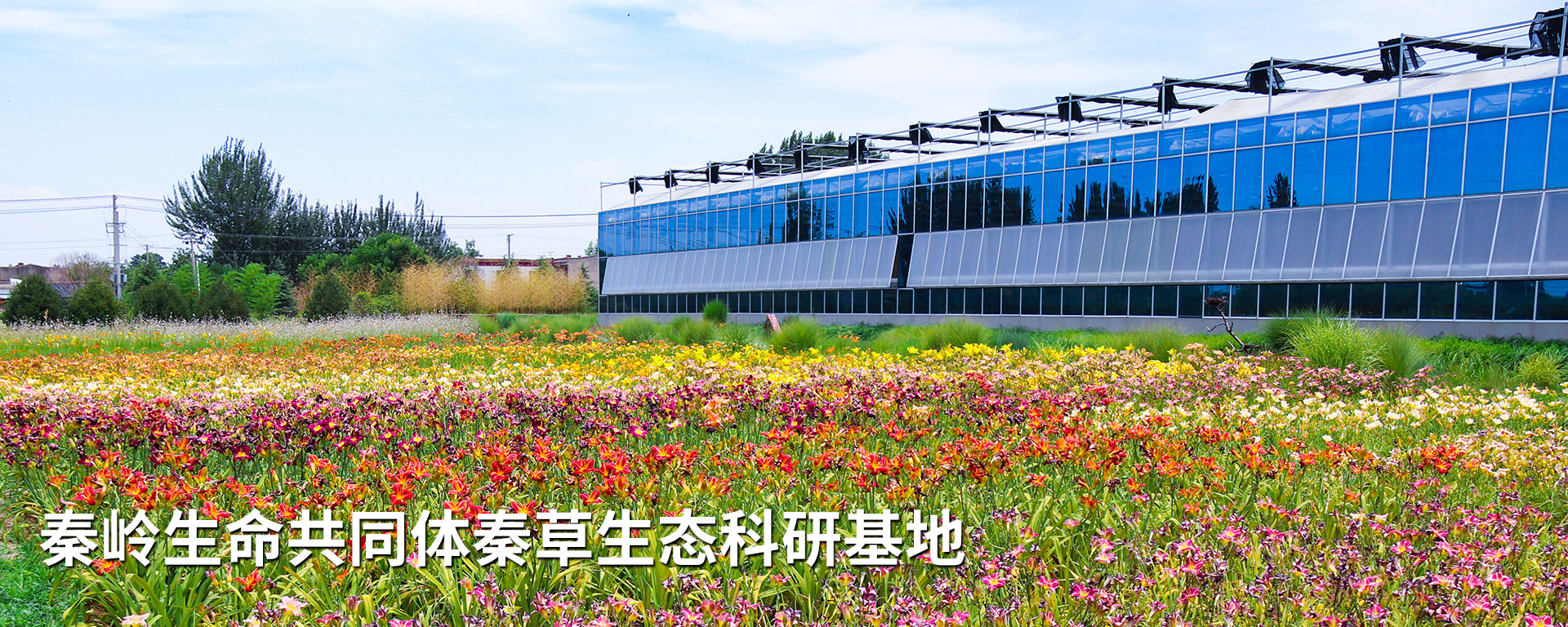 NG28-不凡成就非凡,相信品牌的力量