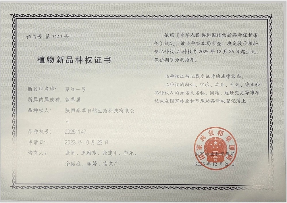 NG28-不凡成就非凡,相信品牌的力量